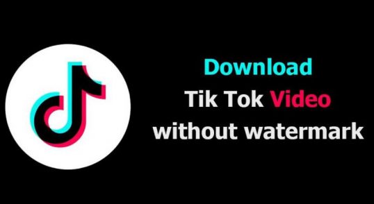 DownTik Download Video TikTok