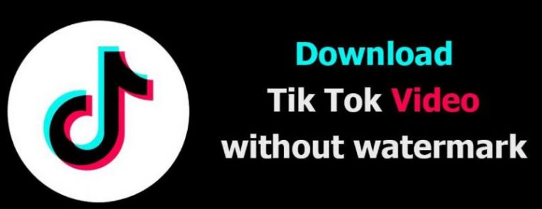 DownTik Download Video TikTok